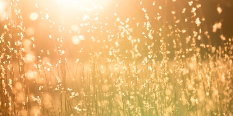“Keep your face always toward the sunshine, and shadows will fall behind you.