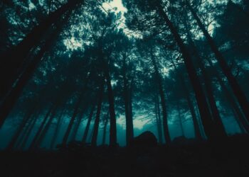 What is the fear of travel called?