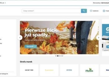 Erli : Purchasing Platform For Home and Garden Child Electronics Items