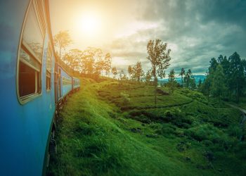 Omio.com: Book Bus Tickets, Flights, & Train Tickets At The Best Prices.