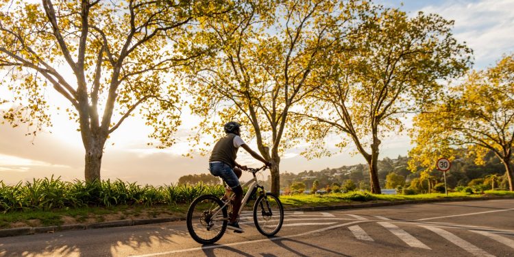 Cycling Enthusiasts Rejoice: Discover the Best Bicycles on Buy Best Gear