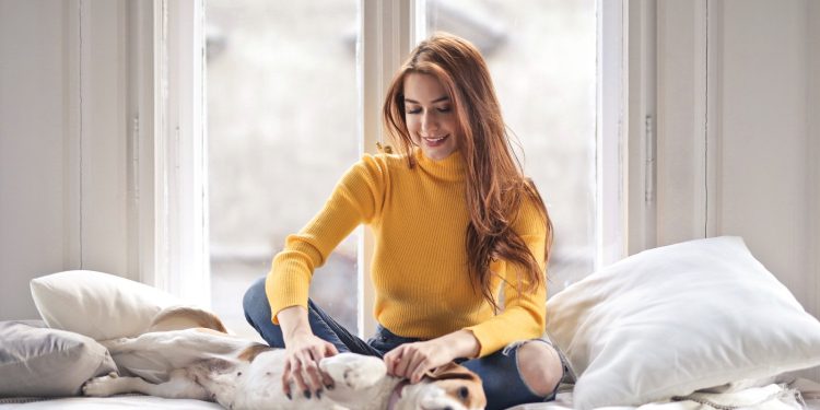 Don’t Leave Fido Alone! Secure Your Travel Plans by Booking a Trusted Pet Sitter Today