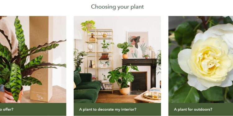 The Benefits of Going Green: How La Green Touch is Leading the Way