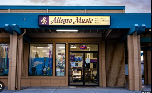 Real-Life Success Stories: Musicians Who Transformed Their Work Using Allegro