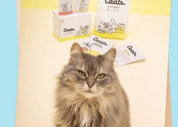 Caats: The Best Cat Food and the Rest of the Caats Range Without Delay