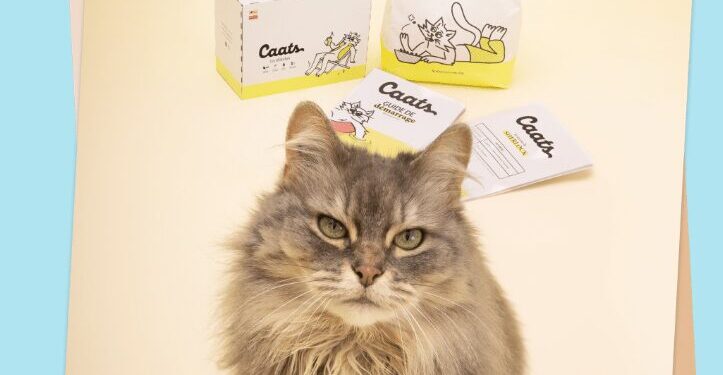 Caats: The Best Cat Food and the Rest of the Caats Range Without Delay