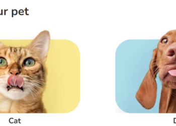 Pampering Pets: Unveiling the Best Grooming Services at Caats Cats & Dog