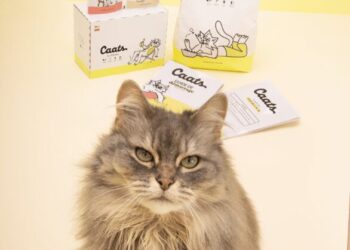 Pet Pampering Essentials: Discover Unique Finds at Caats Pet Care & Food Shop