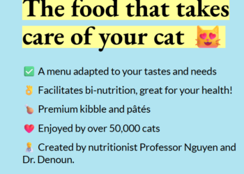 Caring for Your Cat: The Essential Role of Nutrition with Caats