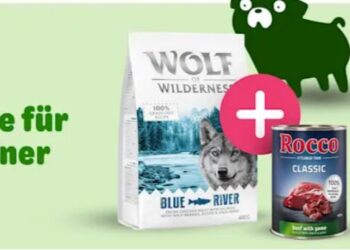 Exploring the Range: What You Can Find at Zooplus for Every Type of Pet