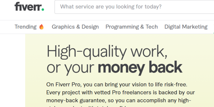 Maximizing Your Earnings: Selling Your Skills on Fiverr