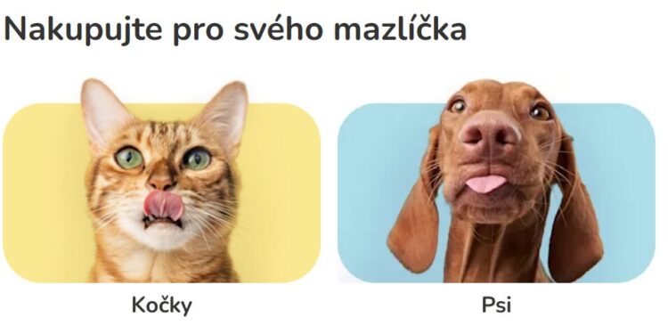 Shop Quality Pet Essentials at Zoohit