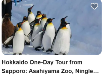 KKday Travel Experiences and What KKday Offers