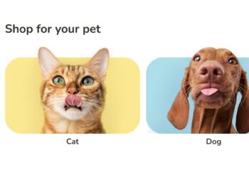 Best Pet Products to Buy on Zooplus Poland This Year