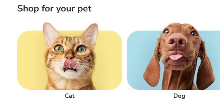 Best Pet Products to Buy on Zooplus Poland This Year