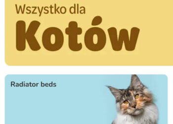 Best Pet Products to Buy on Zooplus Poland This Year