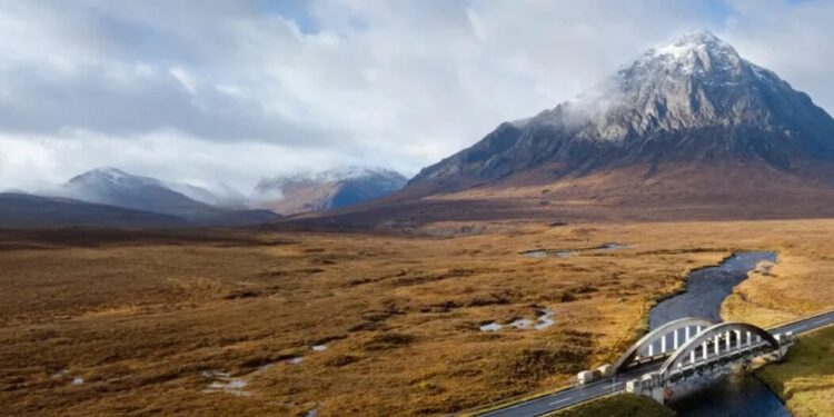 DFDS: Expanding Horizons Through Innovation, Sustainability, and Global Logistics Leadership