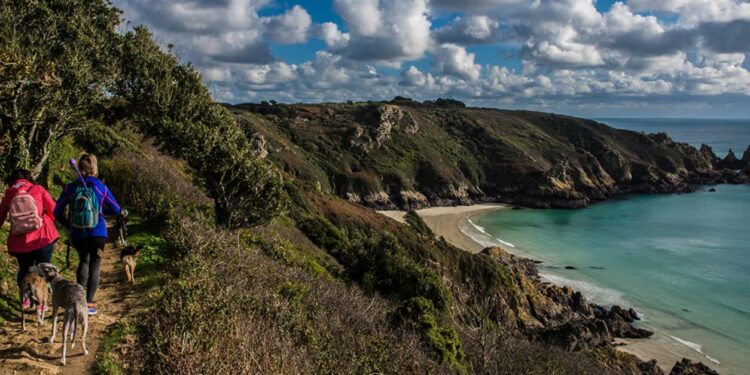 DFDS Business Evolution: Financial Strength, Market Adaptation, and Long-Term Growth Strategy