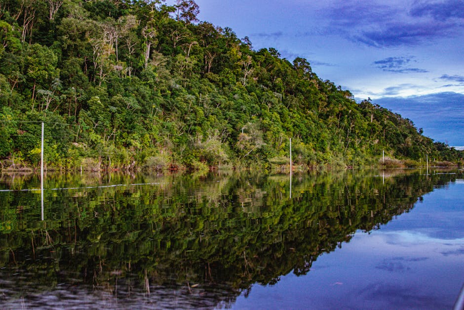 amazon rainforest tour