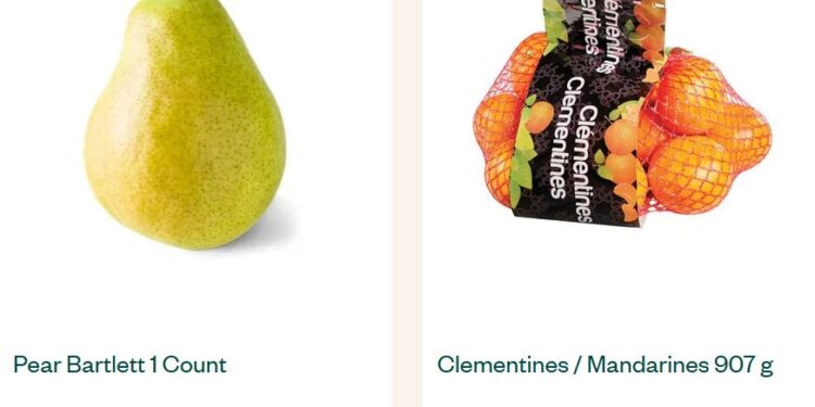 Voila Logistics Strategy: Digital Infrastructure, Operational Excellence, and Scalable Shipping Solutions