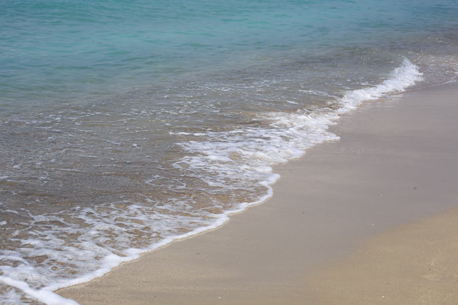 beach with calm ocean waves