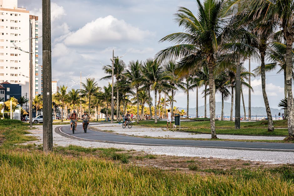 beachside path with palm trees