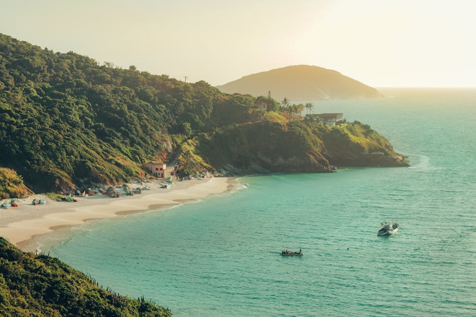 brazilian coastal landscape
