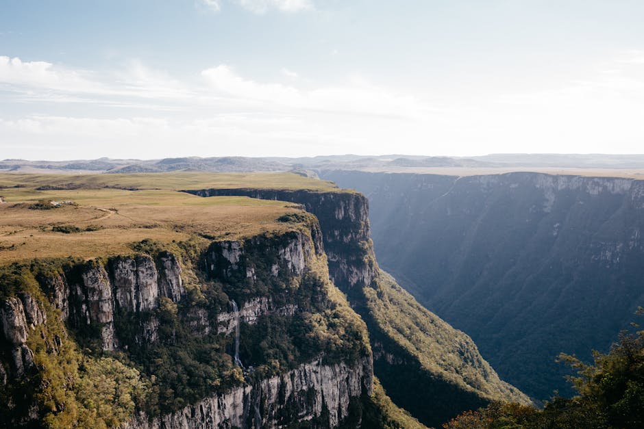 brazilian landscape