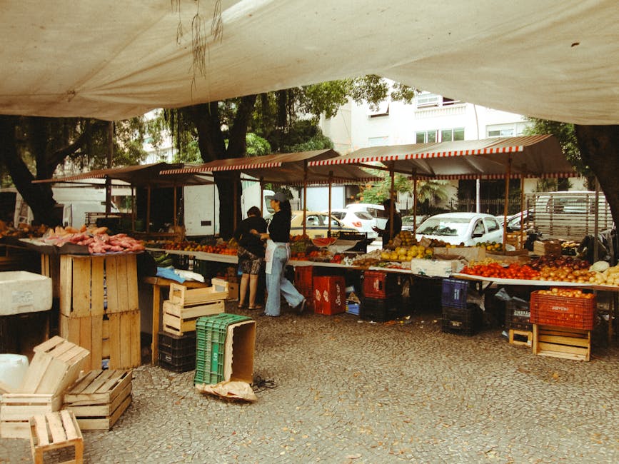 brazilian outdoor market