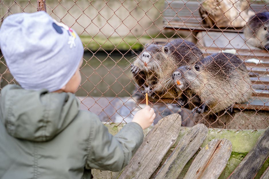 children feeding zoo animals