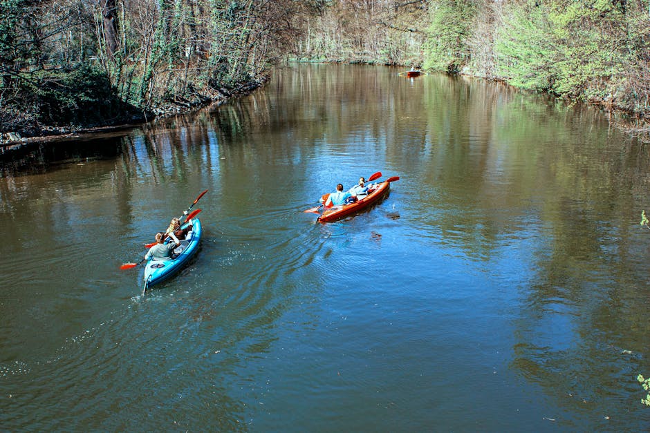children kayaking on a calm river