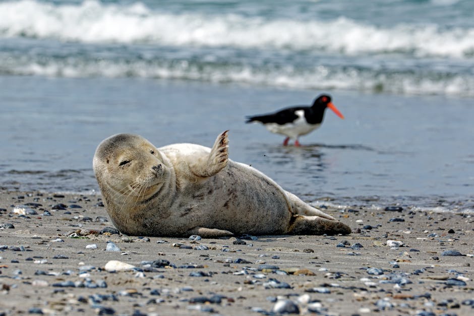 coastal estuary birds seals