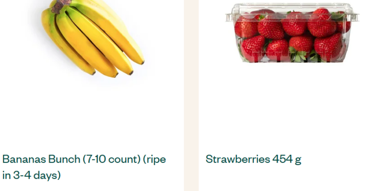 Voila: Simplifying Logistics and Powering Modern E-Commerce