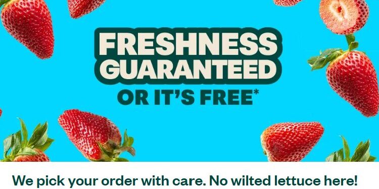 Voila: Simplifying Logistics and Powering Modern E-Commerce