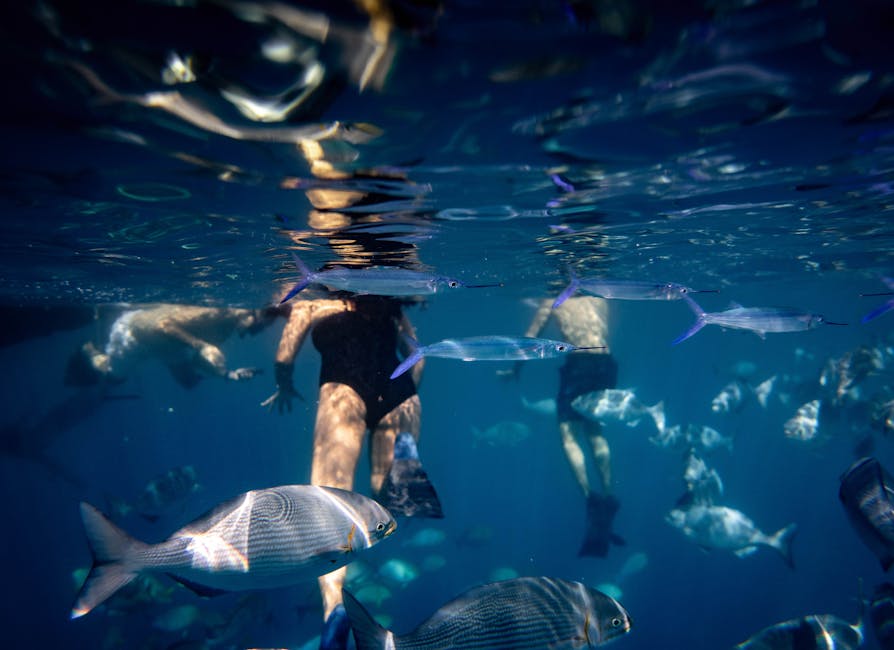 family snorkeling in clear water with fish