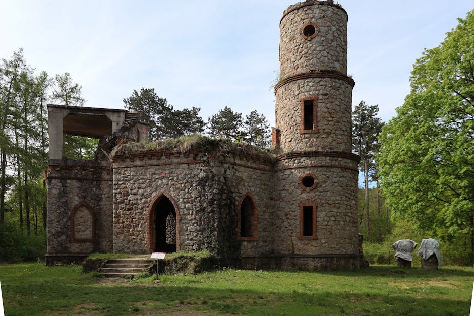 historic castle ruins in forest