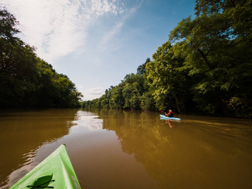 kayaking on a calm river