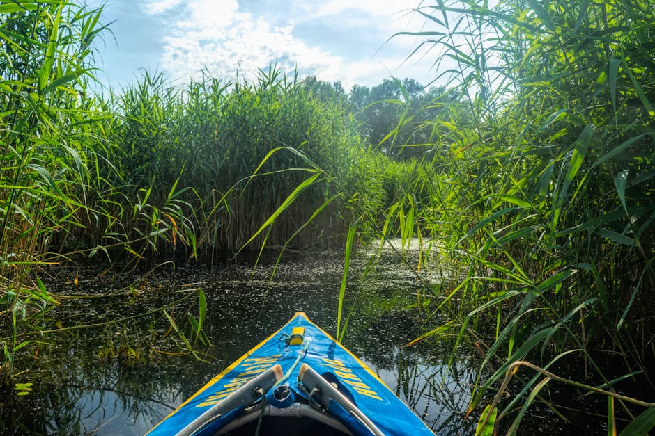 Kayaking on scenic Polish river