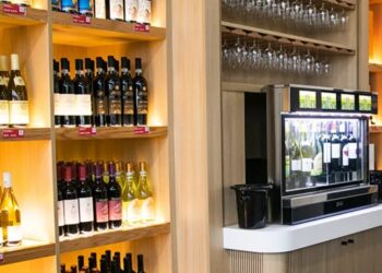 DFDS Ferry Travel Guide: Routes, Pricing, Onboard Experience, and Why It’s a Top Choice in Europe