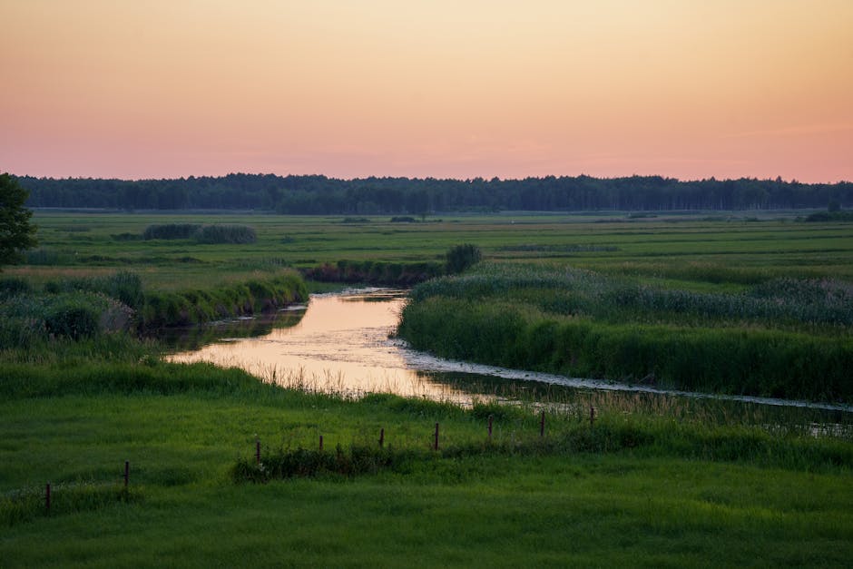 peaceful river landscape in eastern poland