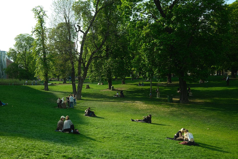 people picnicking by a river in France