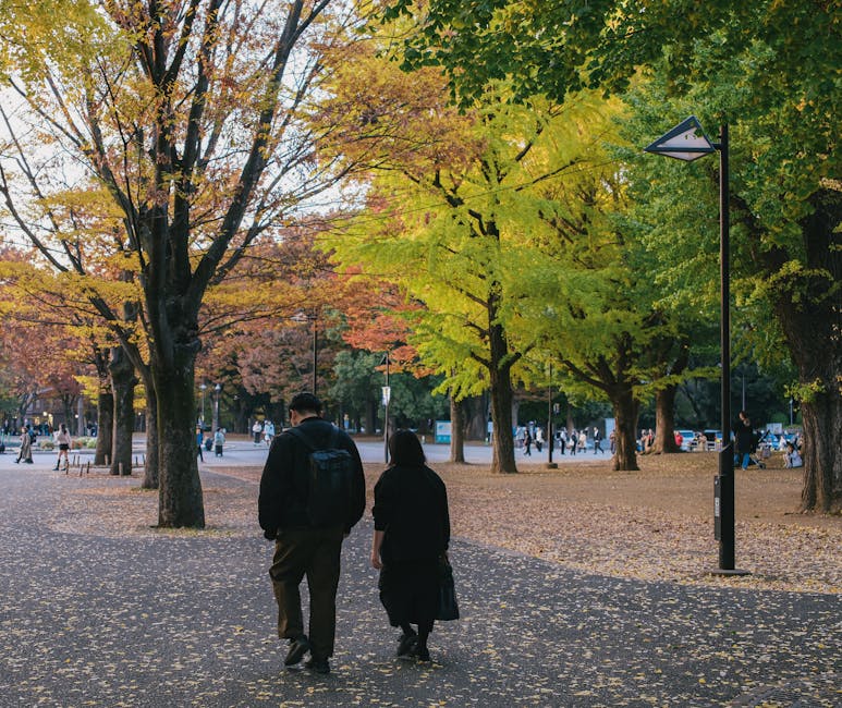 people walking in autumn park with colorful trees