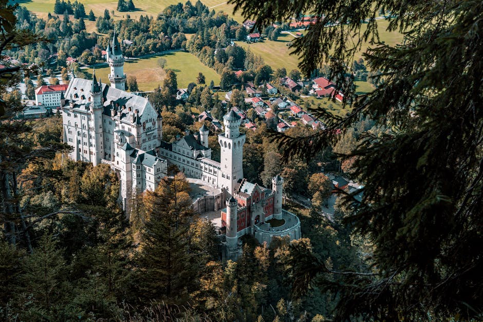 person enjoying view of Neuschwanstein Castle
