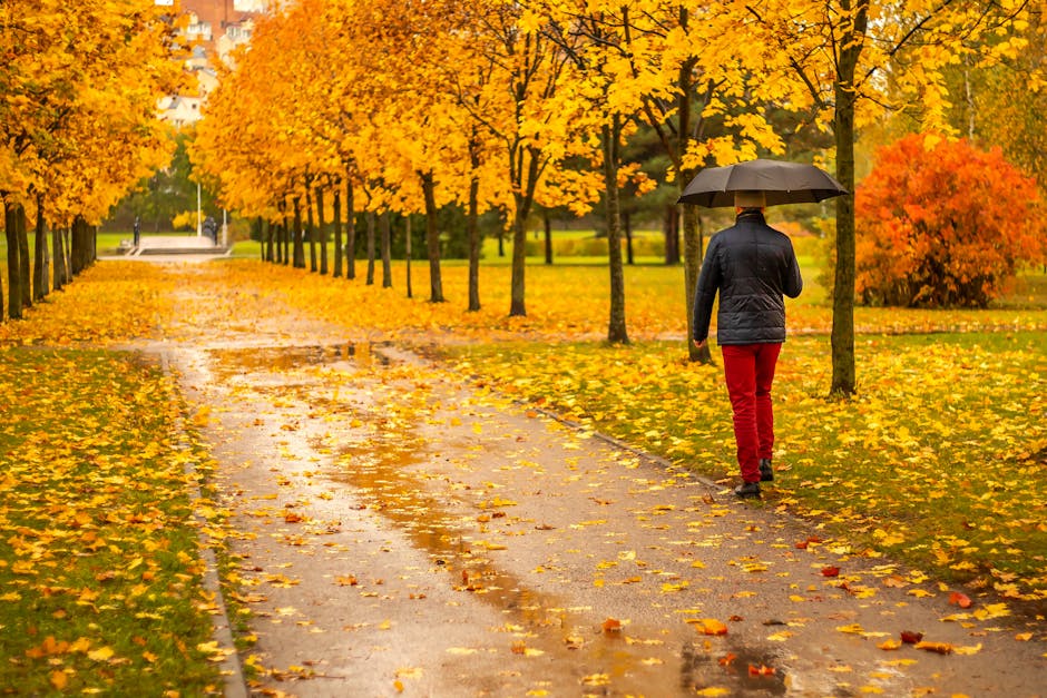 person walking with umbrella in autumn