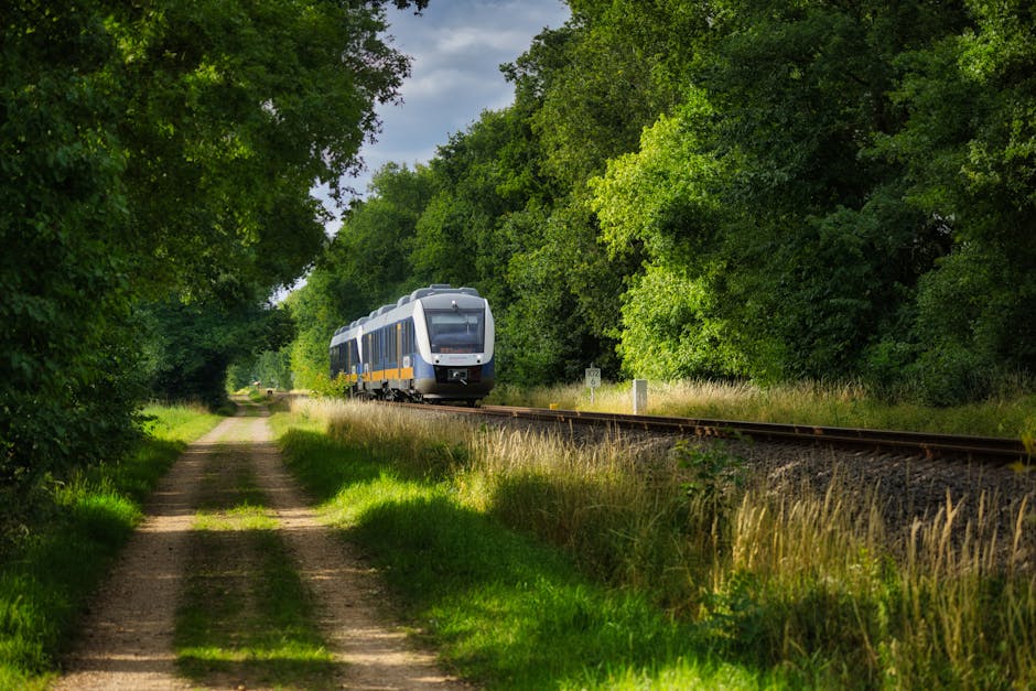 Polish train on scenic route