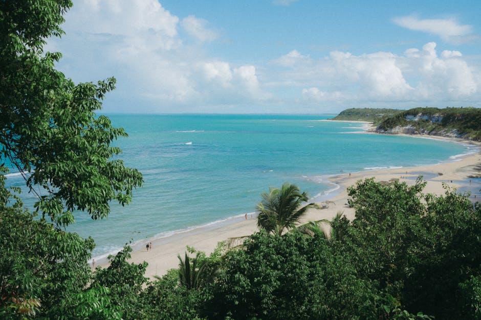 remote beach brazil