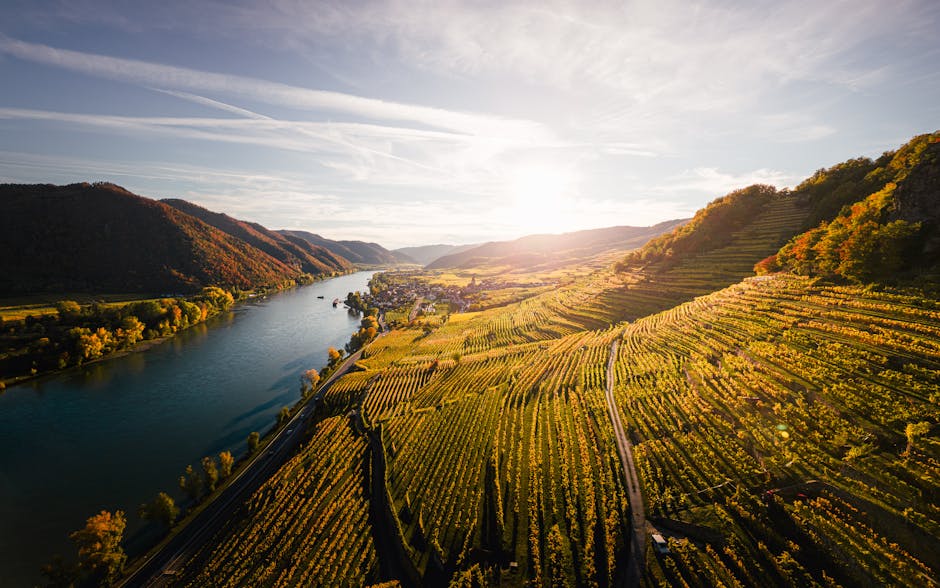 Scenic view of vineyards along a river valley