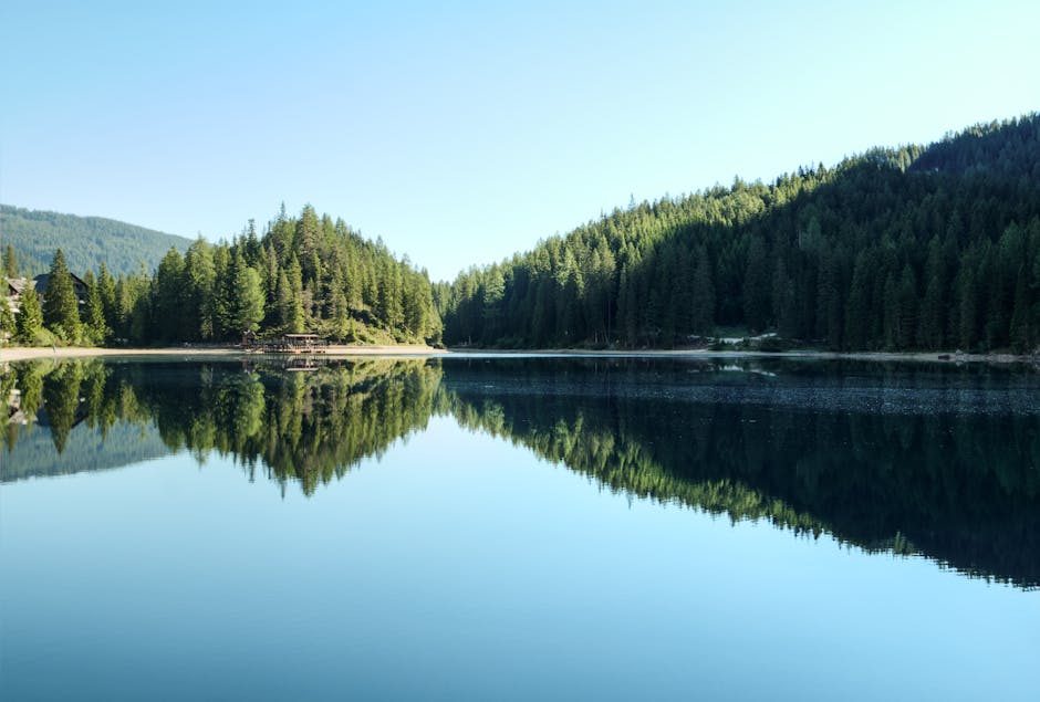 serene lake forest mountains