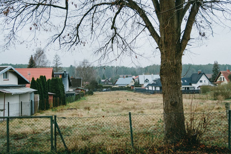 traditional polish village house