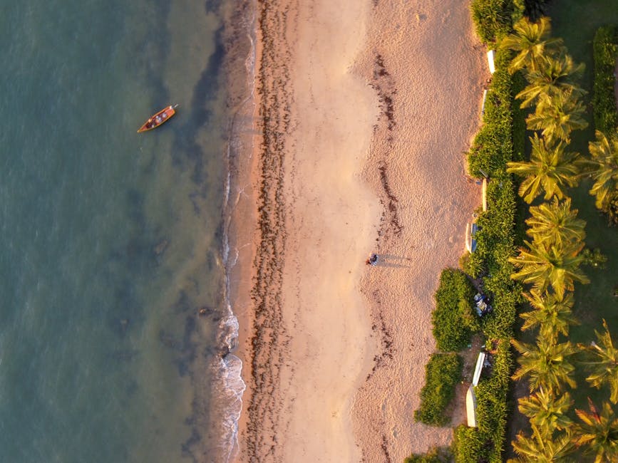 tropical beach brazil